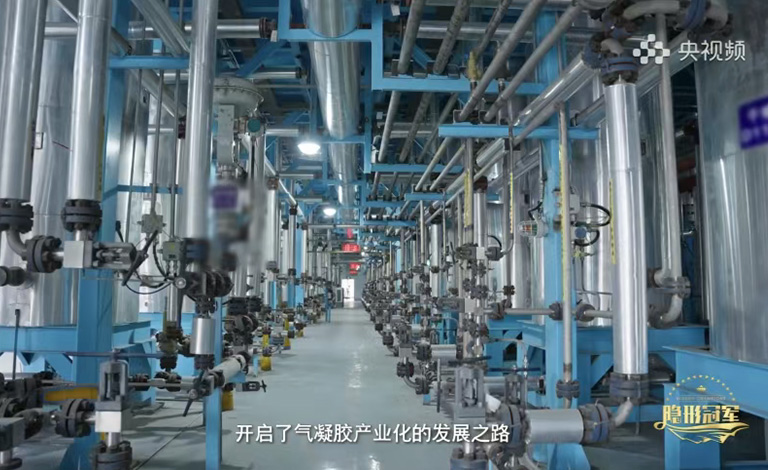 埃力生隐形冠军专题纪录片登陆央视频 埃力生隐形冠军专题纪录片登陆央视频