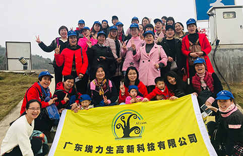 Company employee activities