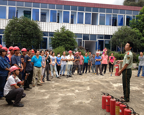 Company employee activities