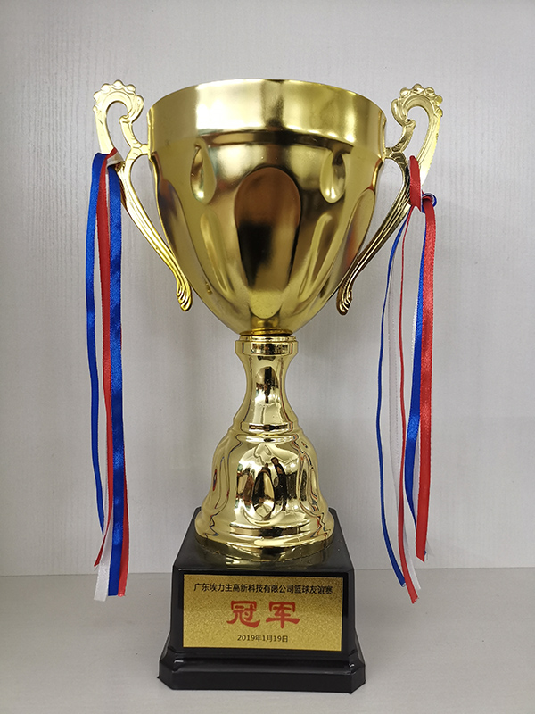 2019 Alison Basketball Friendly Championship